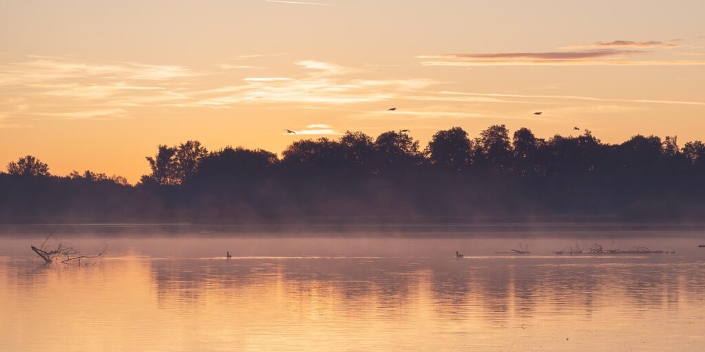 Jeg er både skov og vand.
Rod og strøm.
Og i det møde husker jeg, hvem jeg er.