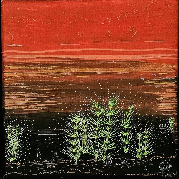 Planter på planeten